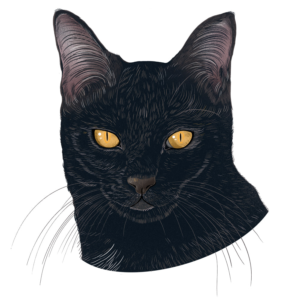 Ada | Cat of the Month Club™ Button by Miss Kitty Poppins