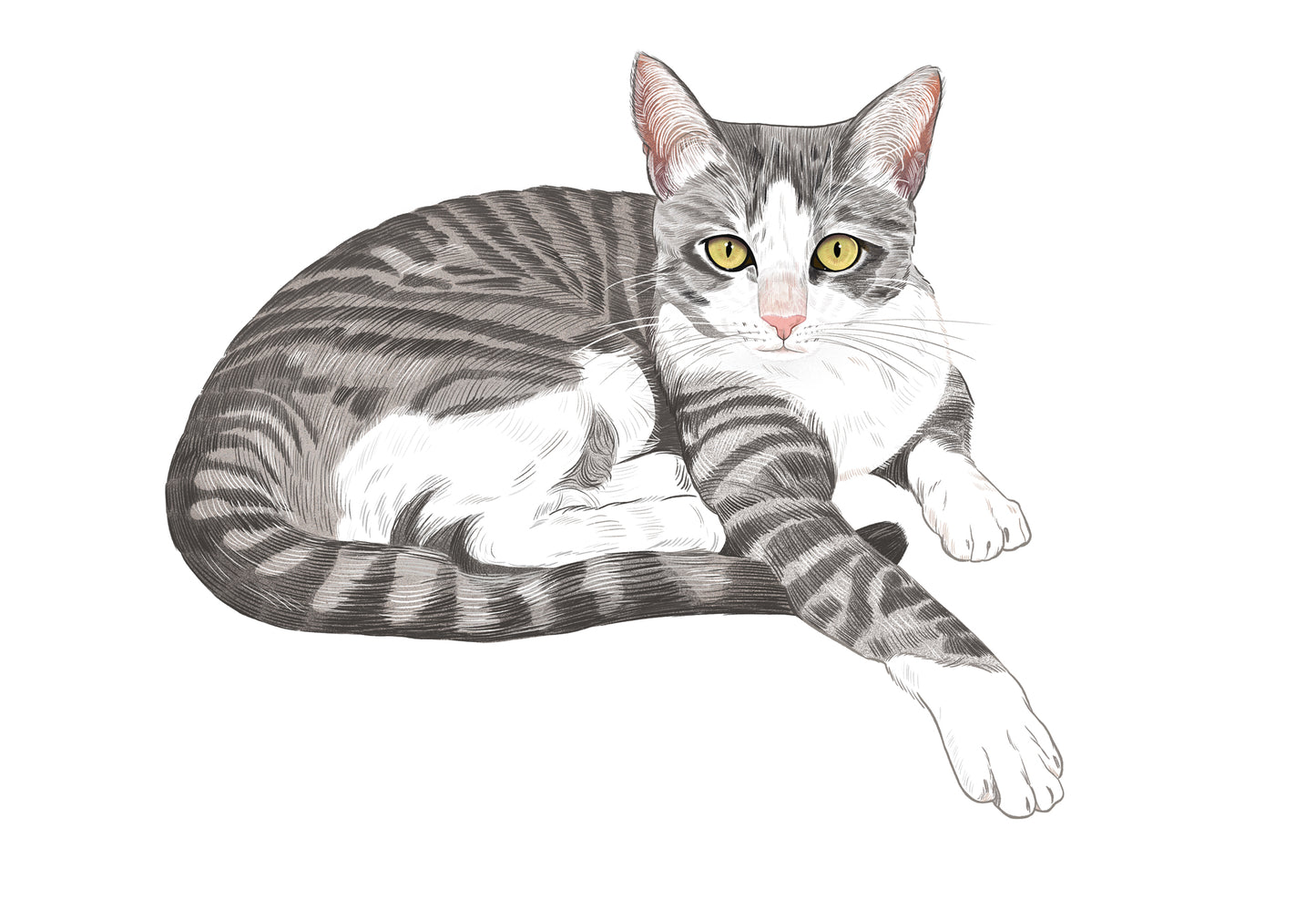 One-of-One Cat Portrait