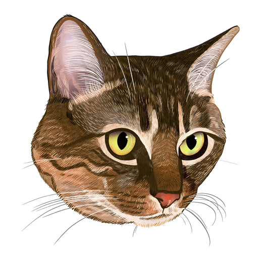 Alice | Cat of the Month Club™ Button (March 2026) by Miss Kitty Poppins