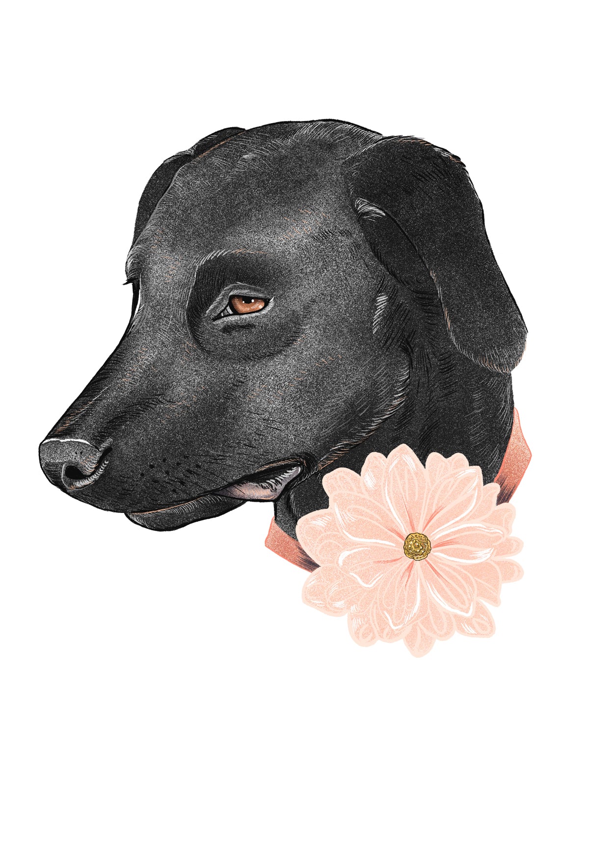 One-of-One Portrait | All Pets