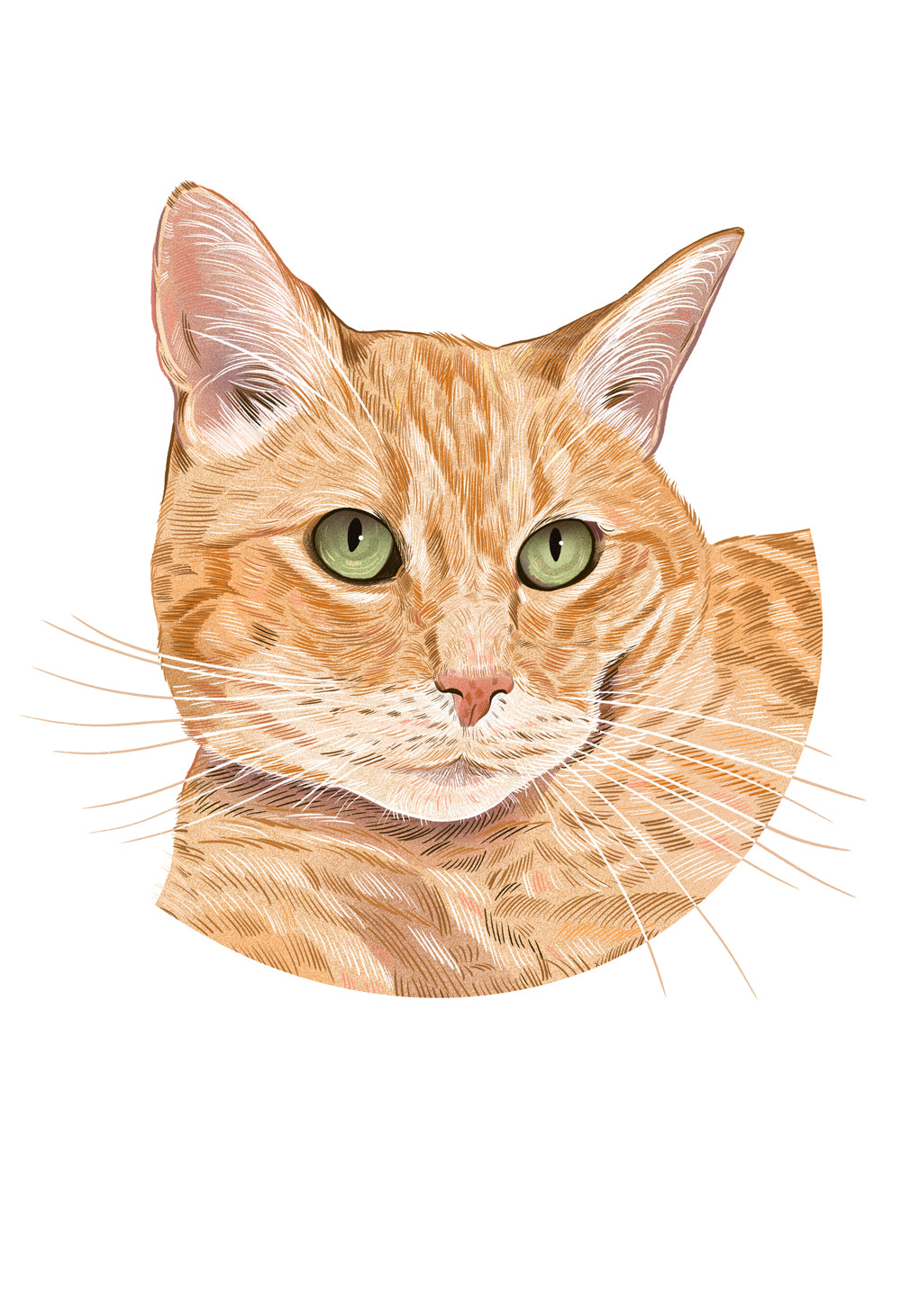One-of-One Cat Portrait