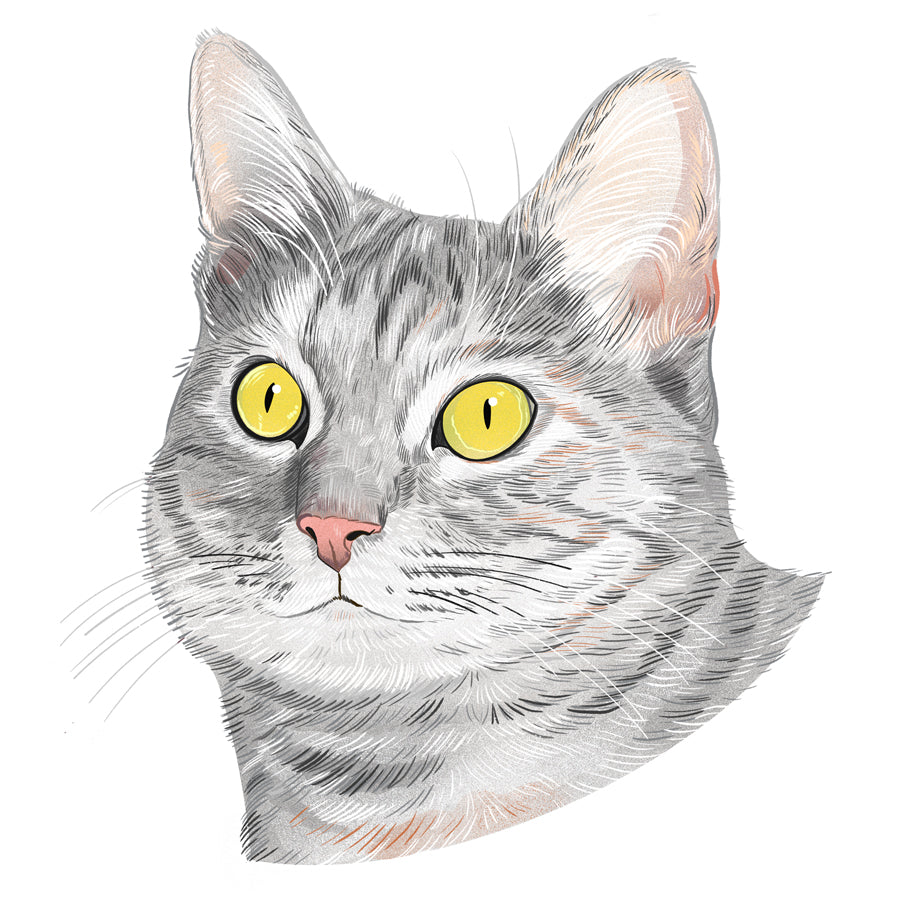 Bella | Cat of the Month Club™ Button (February 2026) by Miss Kitty Poppins