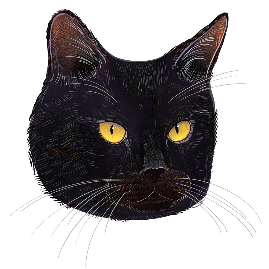 Boris | Cat of the Month Club™ Button (April 2026) by Miss Kitty Poppins