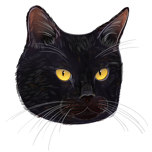Boris | Cat of the Month Club™ Button (April 2026) by Miss Kitty Poppins