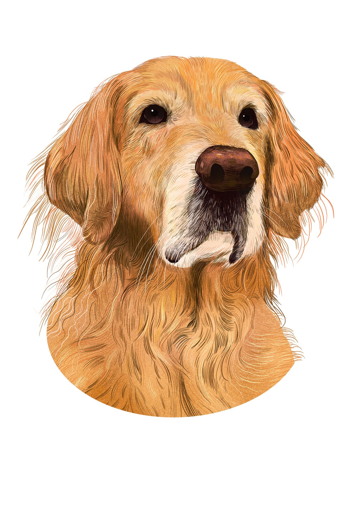 One-of-One All Pets Portrait