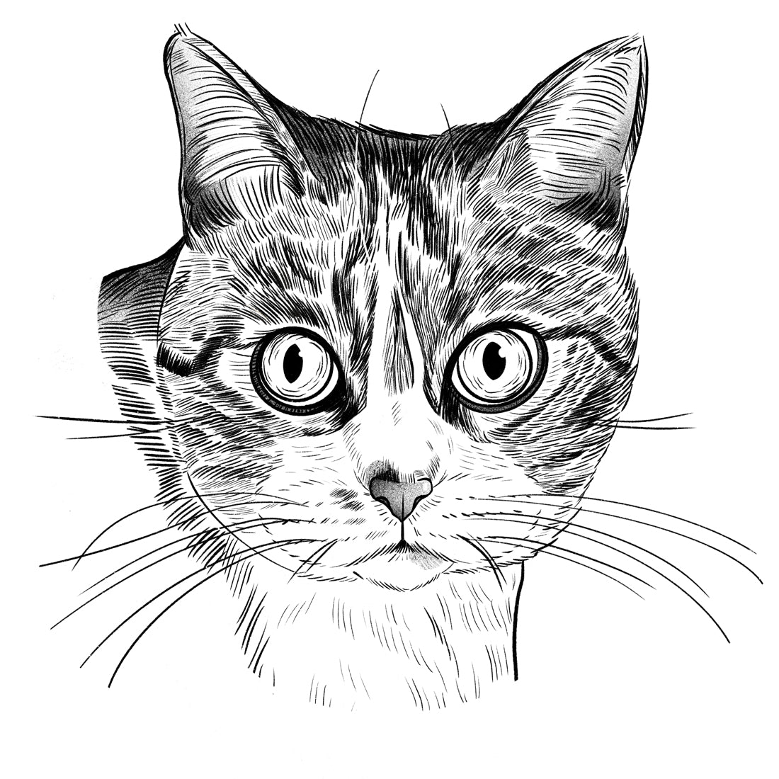 Daphne | Cat of the Month Club™ Button (January 2026) by Miss Kitty Poppins