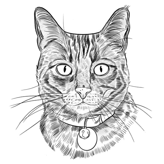 Hamilton | Cat of the Month Club™ Button (November 2025) by Miss Kitty Poppins