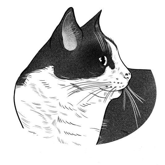 Jack | Cat of the Month Club™ Button (September 2025) by Miss Kitty Poppins