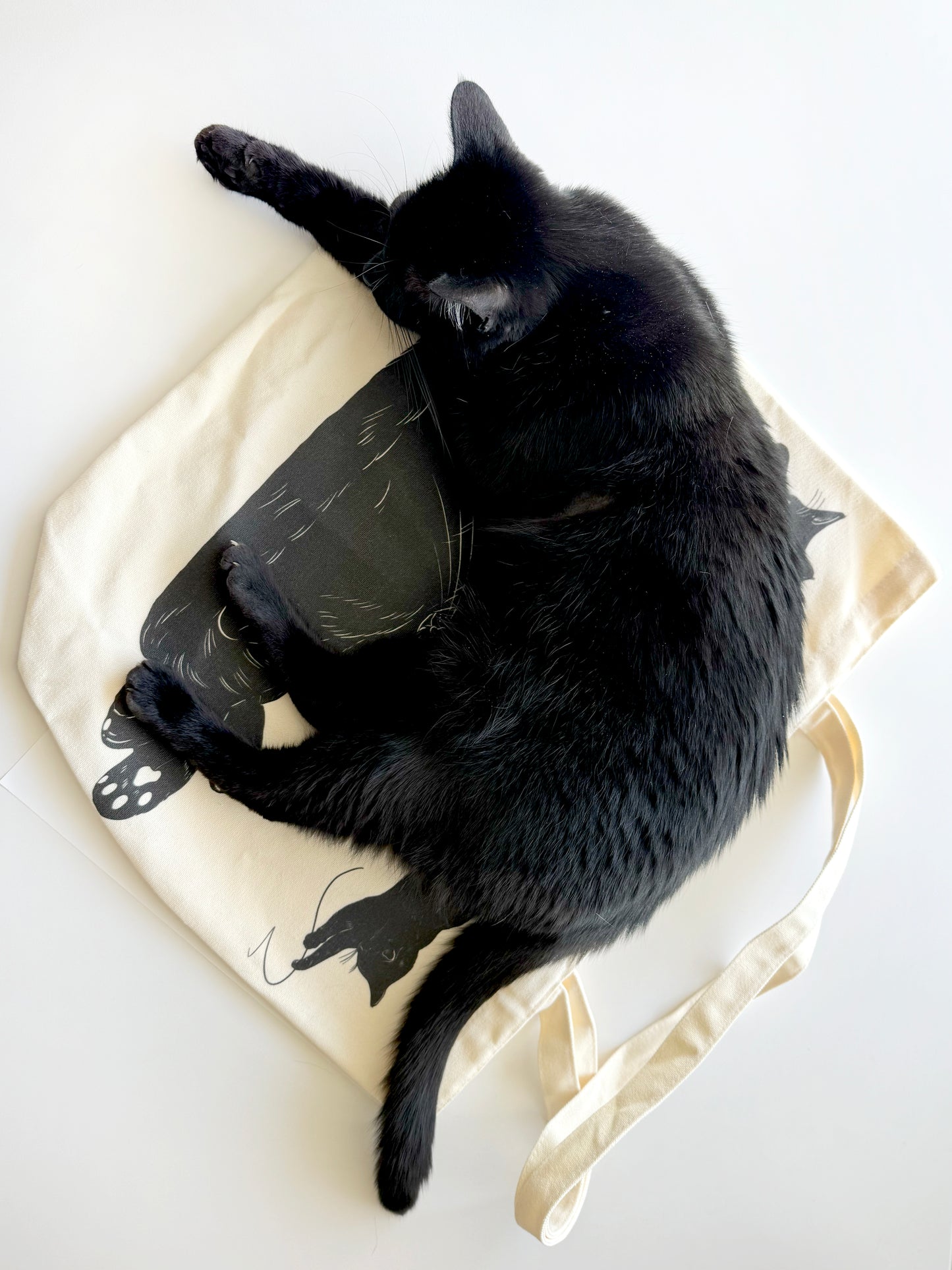 The Meena Tote • Original Edition by Miss Kitty Poppins