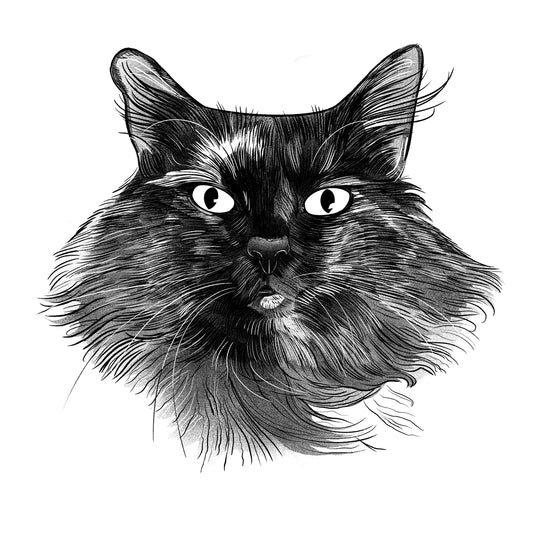 Moops | Cat of the Month Club™ Button (October 2025) by Miss Kitty Poppins