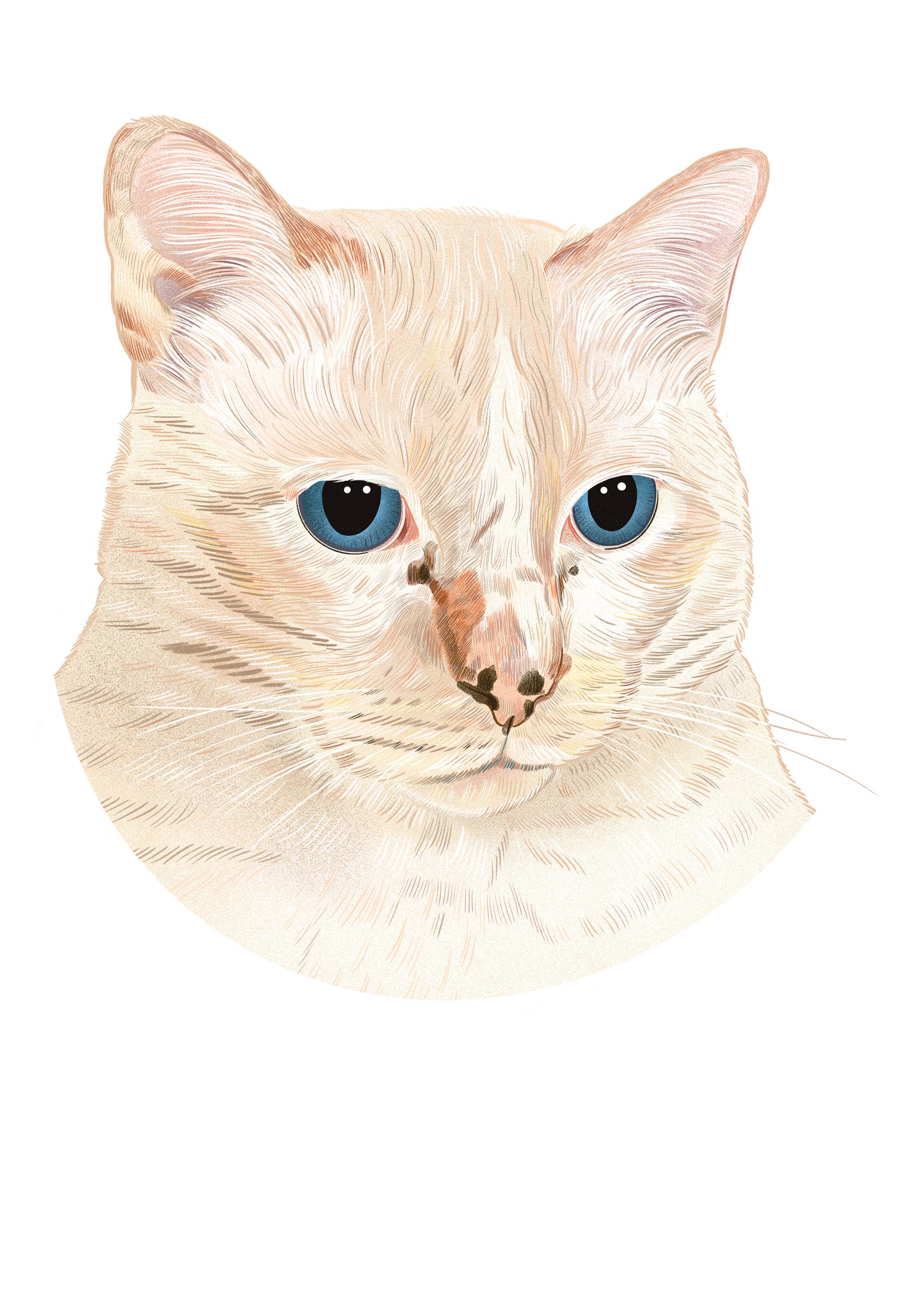 One-of-One Cat Portrait