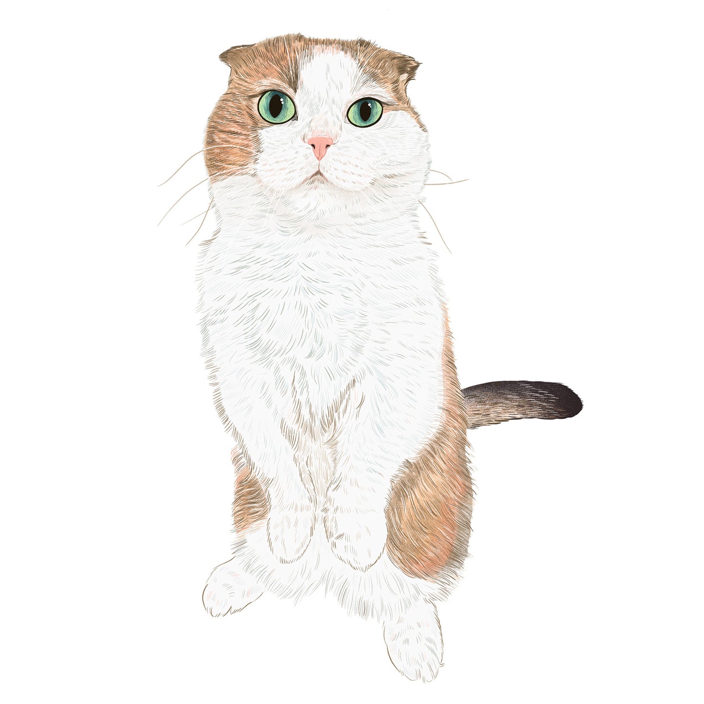One-of-One Cat Portrait
