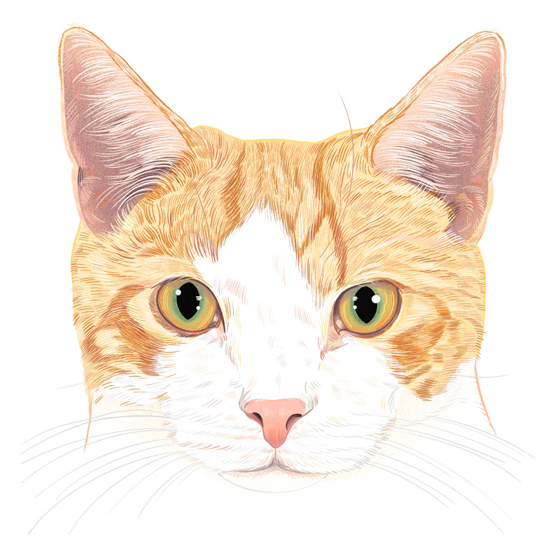 Sole | Cat of the Month Club™ Button (May 2026) by Miss Kitty Poppins