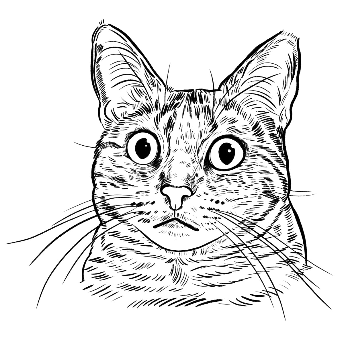 Twinkle | Cat of the Month Club™ Button (August 2025) by Miss Kitty Poppins