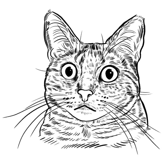 Twinkle | Cat of the Month Club™ Button (August 2025) by Miss Kitty Poppins