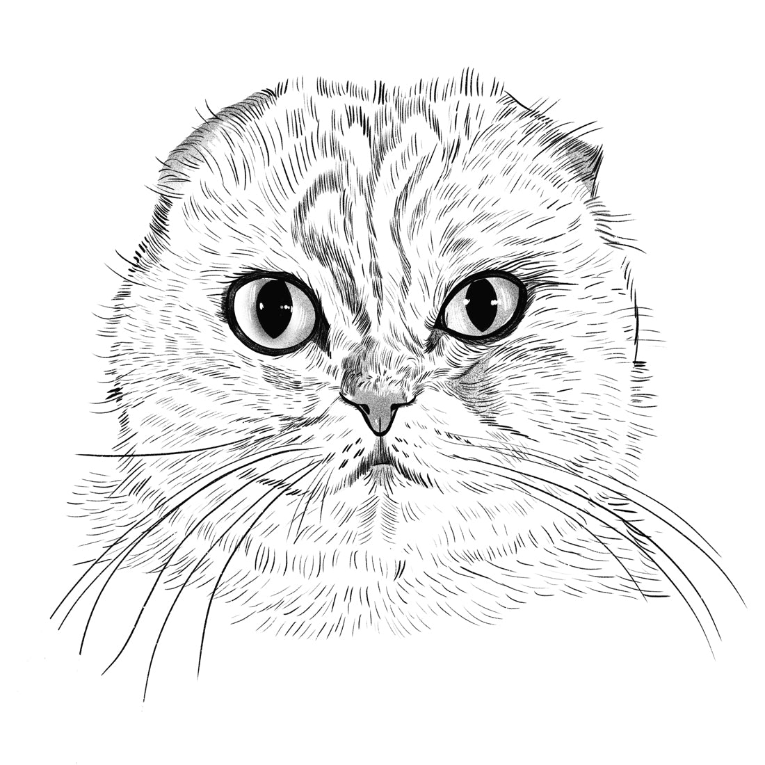 Willa | Cat of the Month Club™ Button (December 2025) by Miss Kitty Poppins