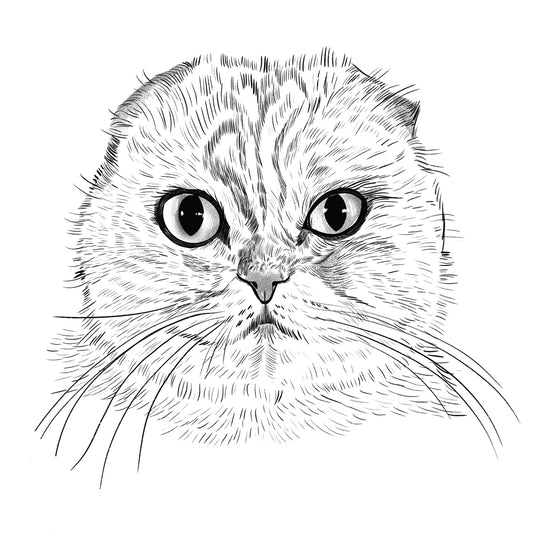 Willa | Cat of the Month Club™ Button (December 2025) by Miss Kitty Poppins